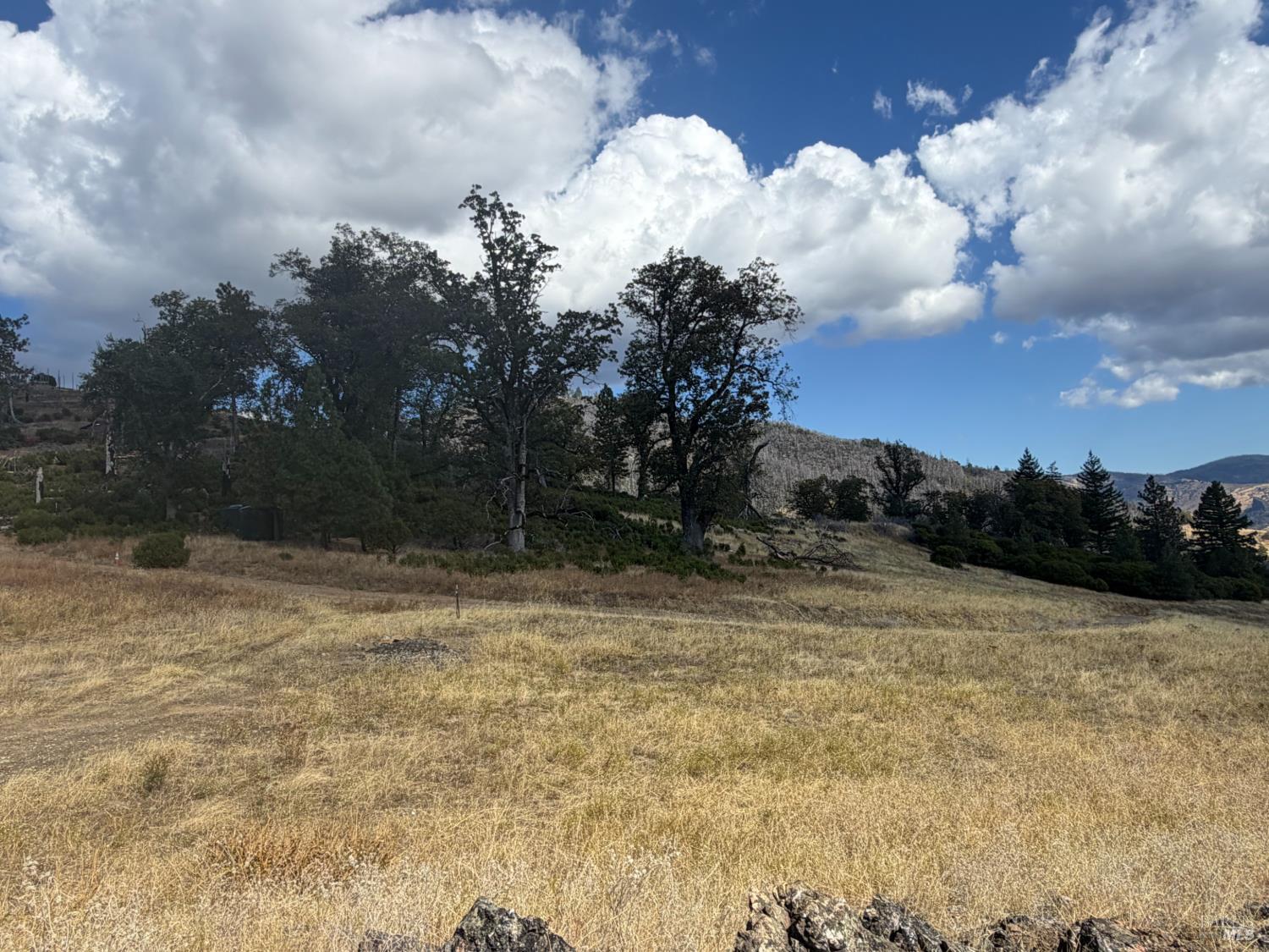 0 Mendocino Pass Road Covelo CA 95428