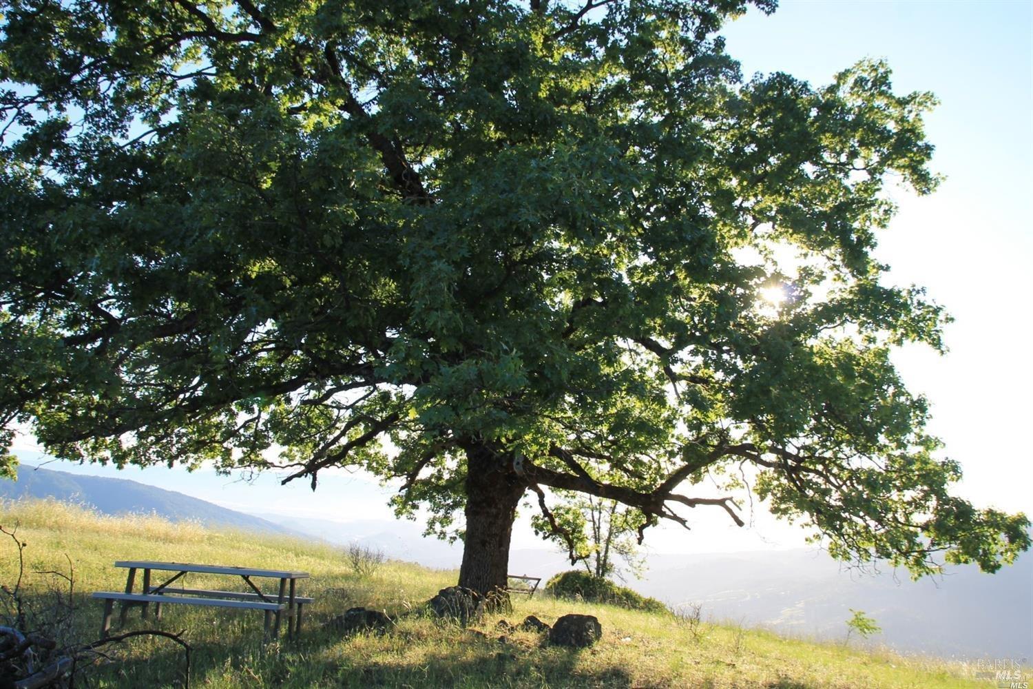 0 Mendocino Pass Road Covelo CA 95428