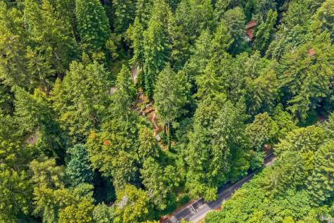 18475 Old Monte Rio Road Guerneville CA 95446