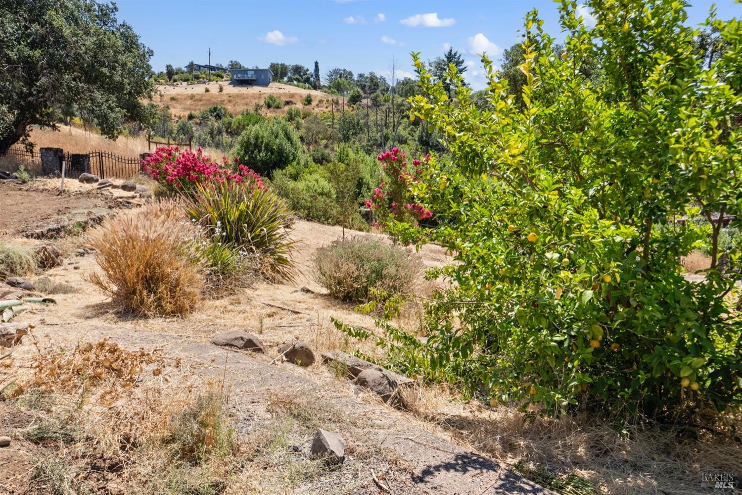 1777 Crystal Springs Court Santa Rosa CA 95404