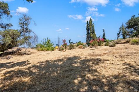 1777 Crystal Springs Court Santa Rosa CA 95404