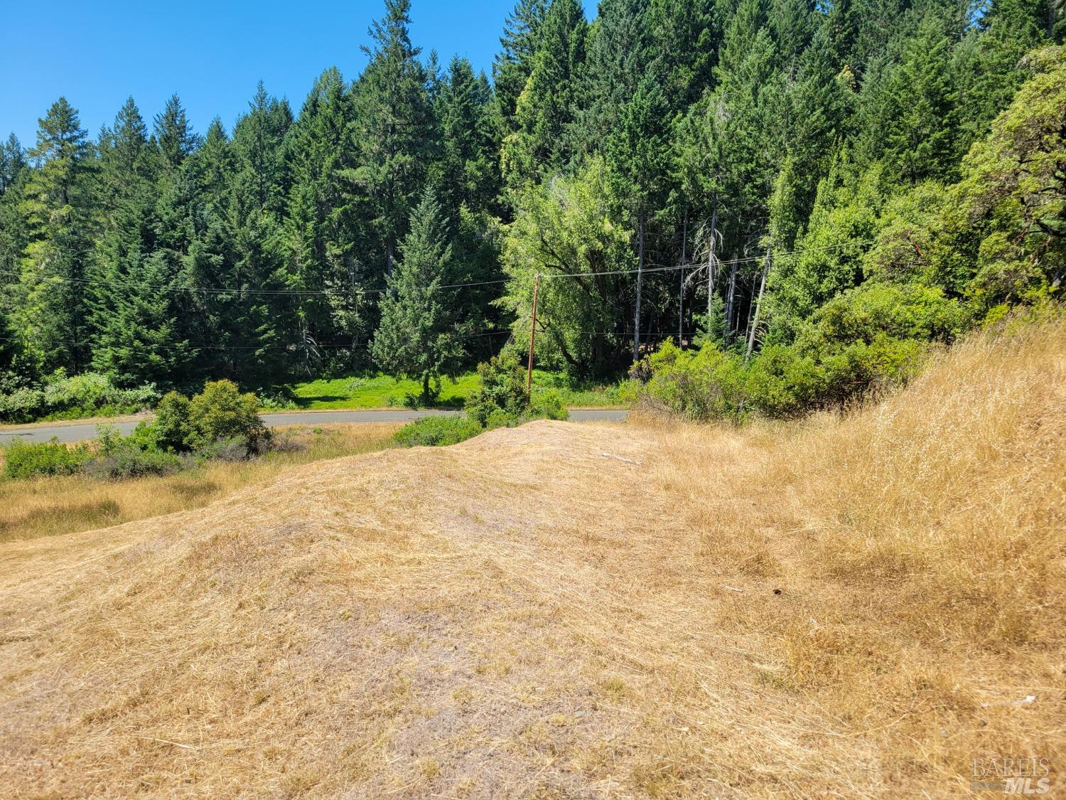 2891 Primrose Drive Willits CA 95490