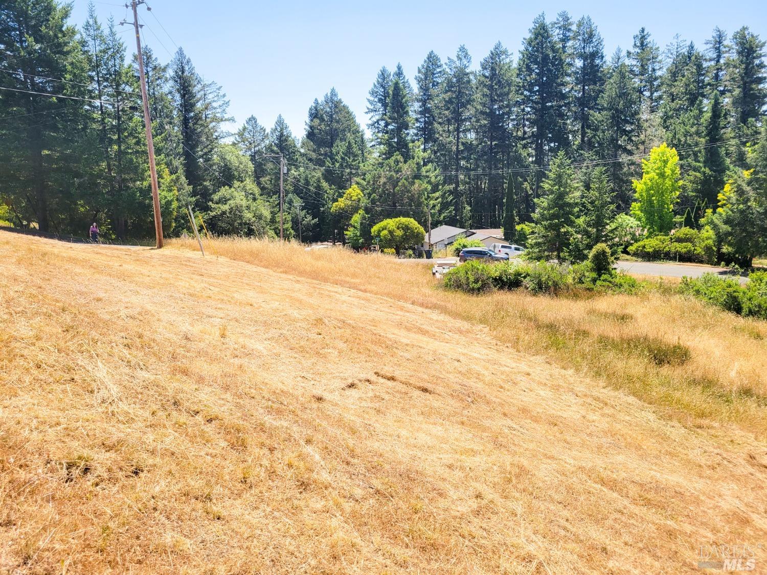 2891 Primrose Drive Willits CA 95490