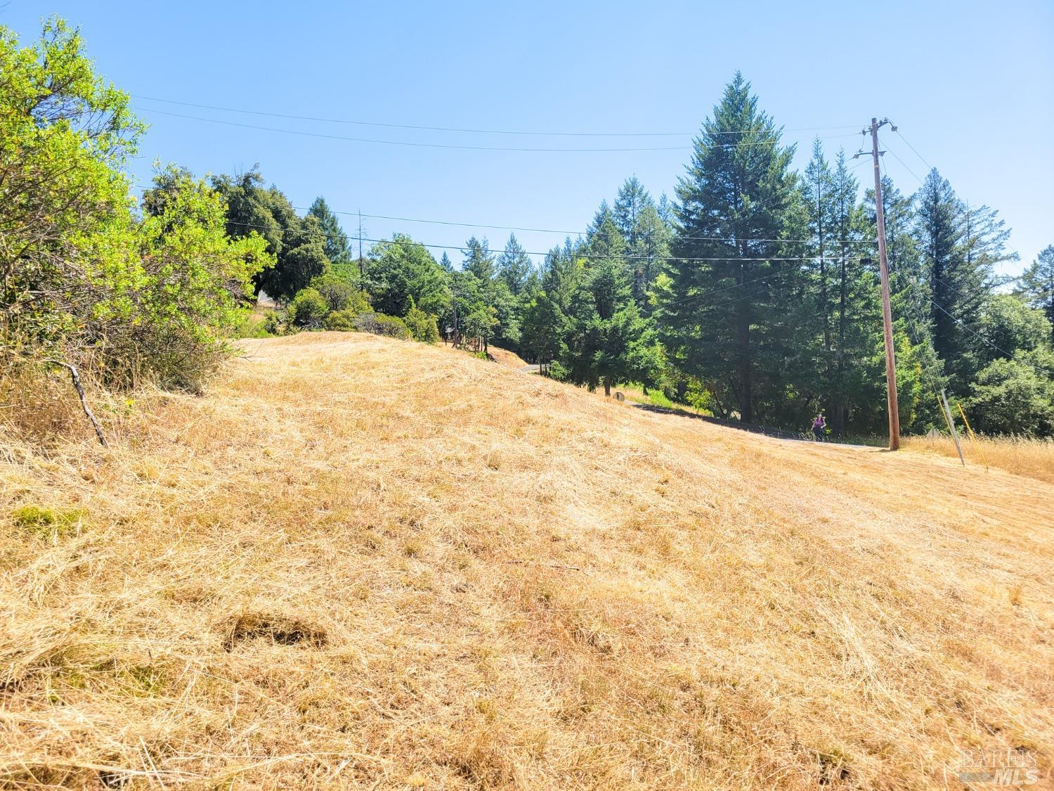 2891 Primrose Drive Willits CA 95490
