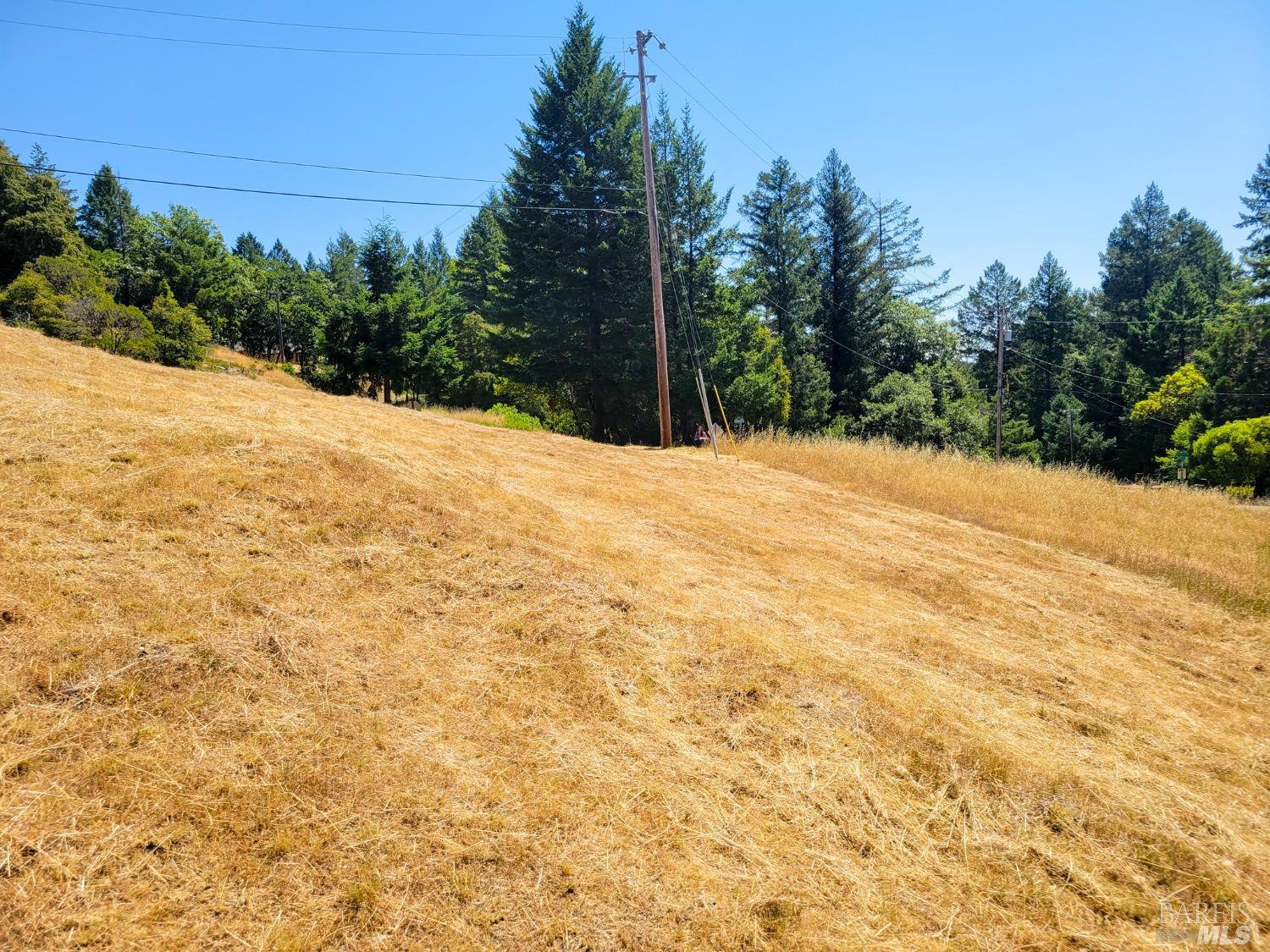 2891 Primrose Drive Willits CA 95490