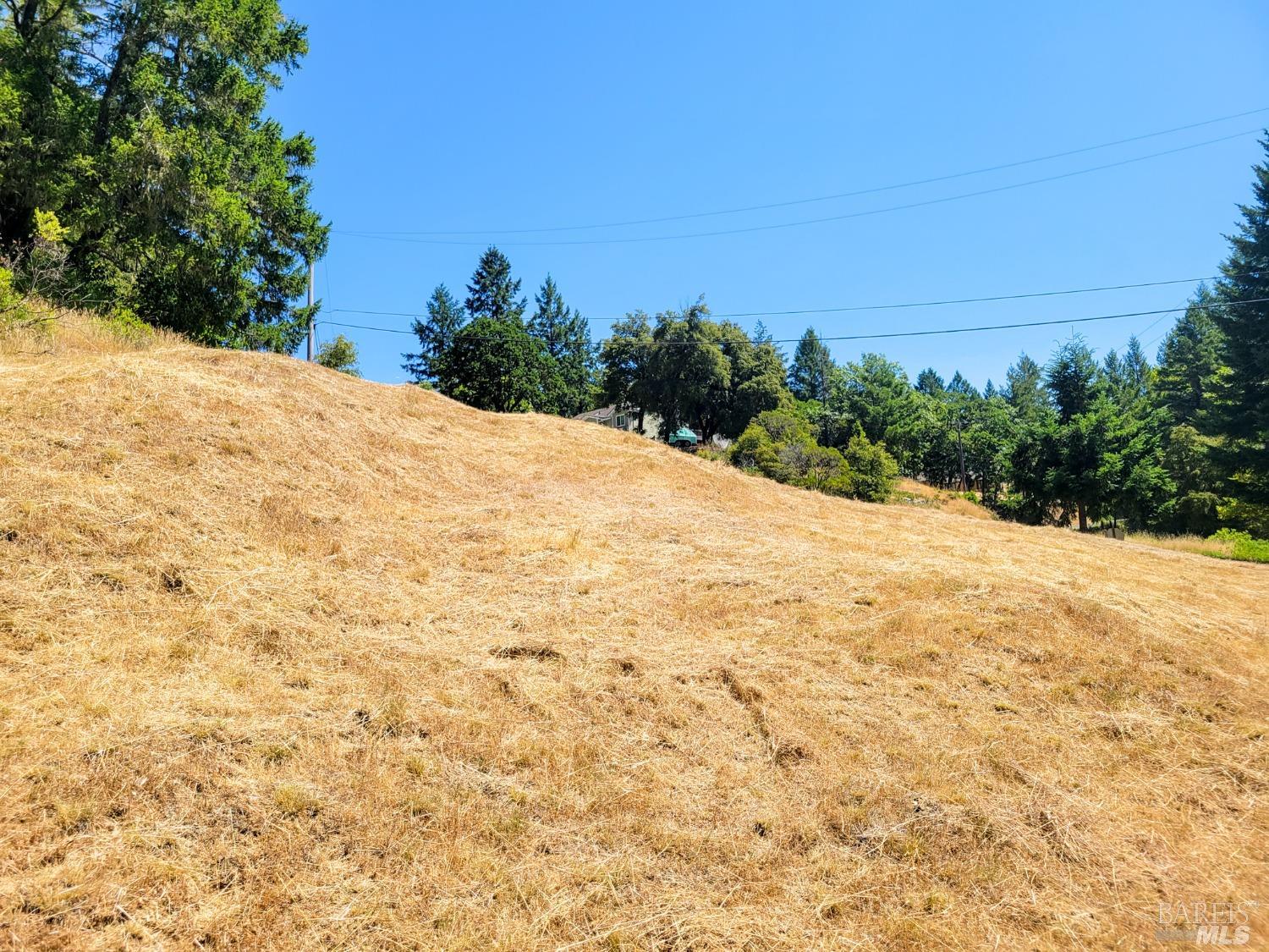 2891 Primrose Drive Willits CA 95490
