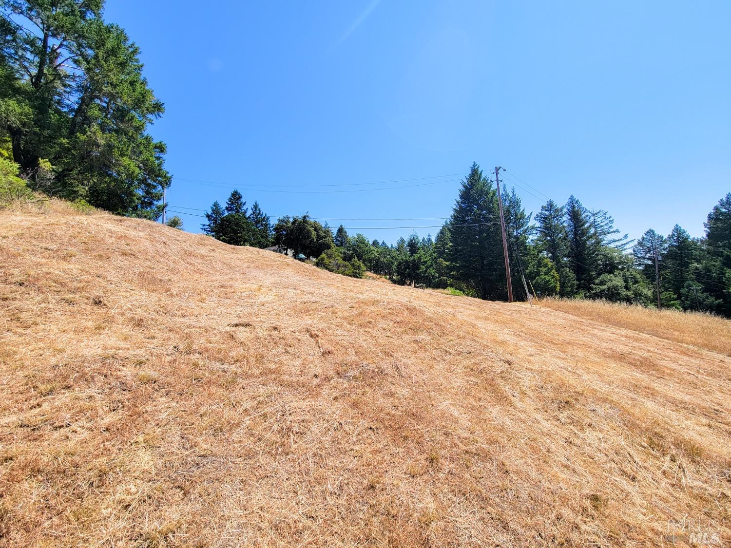 2891 Primrose Drive Willits CA 95490