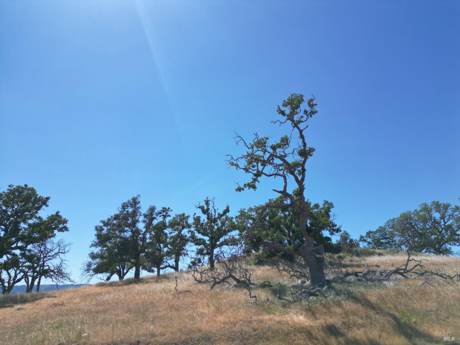 0 Pope Canyon Road Pope Valley CA 94567