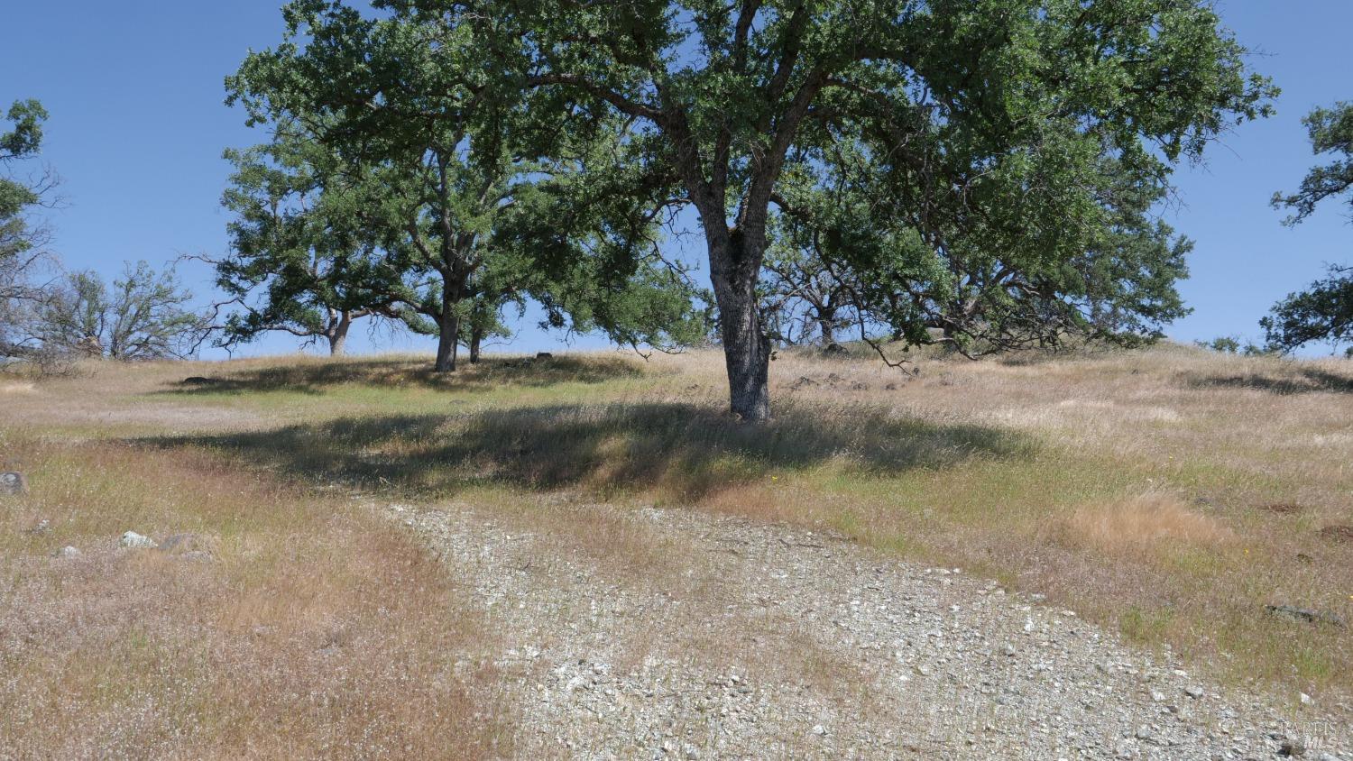 0 Pope Canyon Road Pope Valley CA 94567