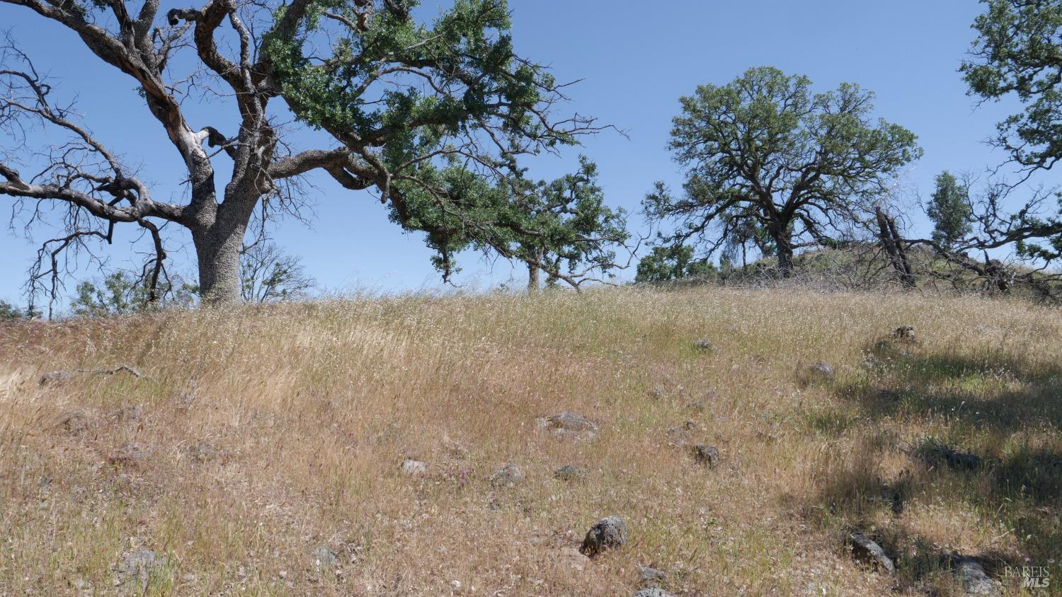 0 Pope Canyon Road Pope Valley CA 94567