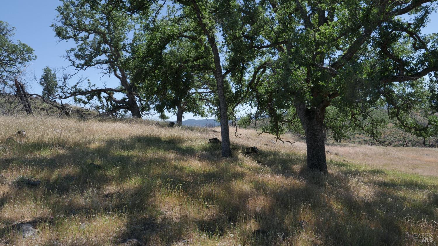 0 Pope Canyon Road Pope Valley CA 94567