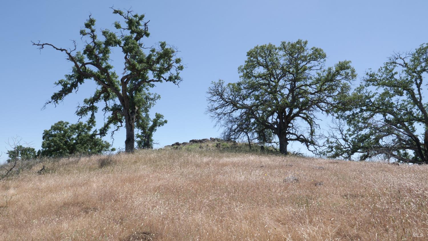 0 Pope Canyon Road Pope Valley CA 94567