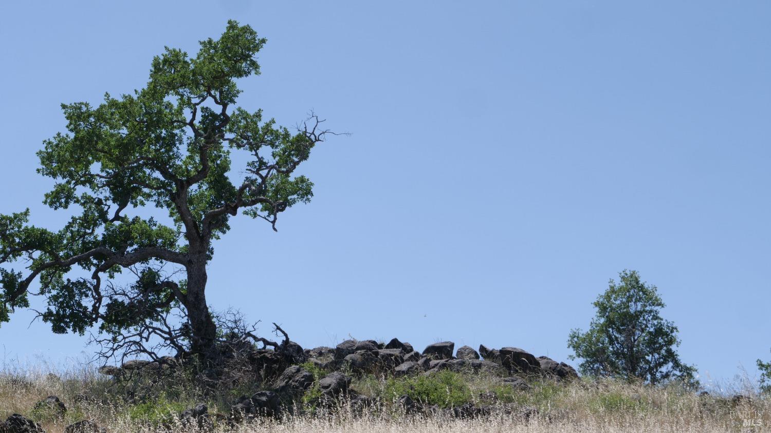 0 Pope Canyon Road Pope Valley CA 94567