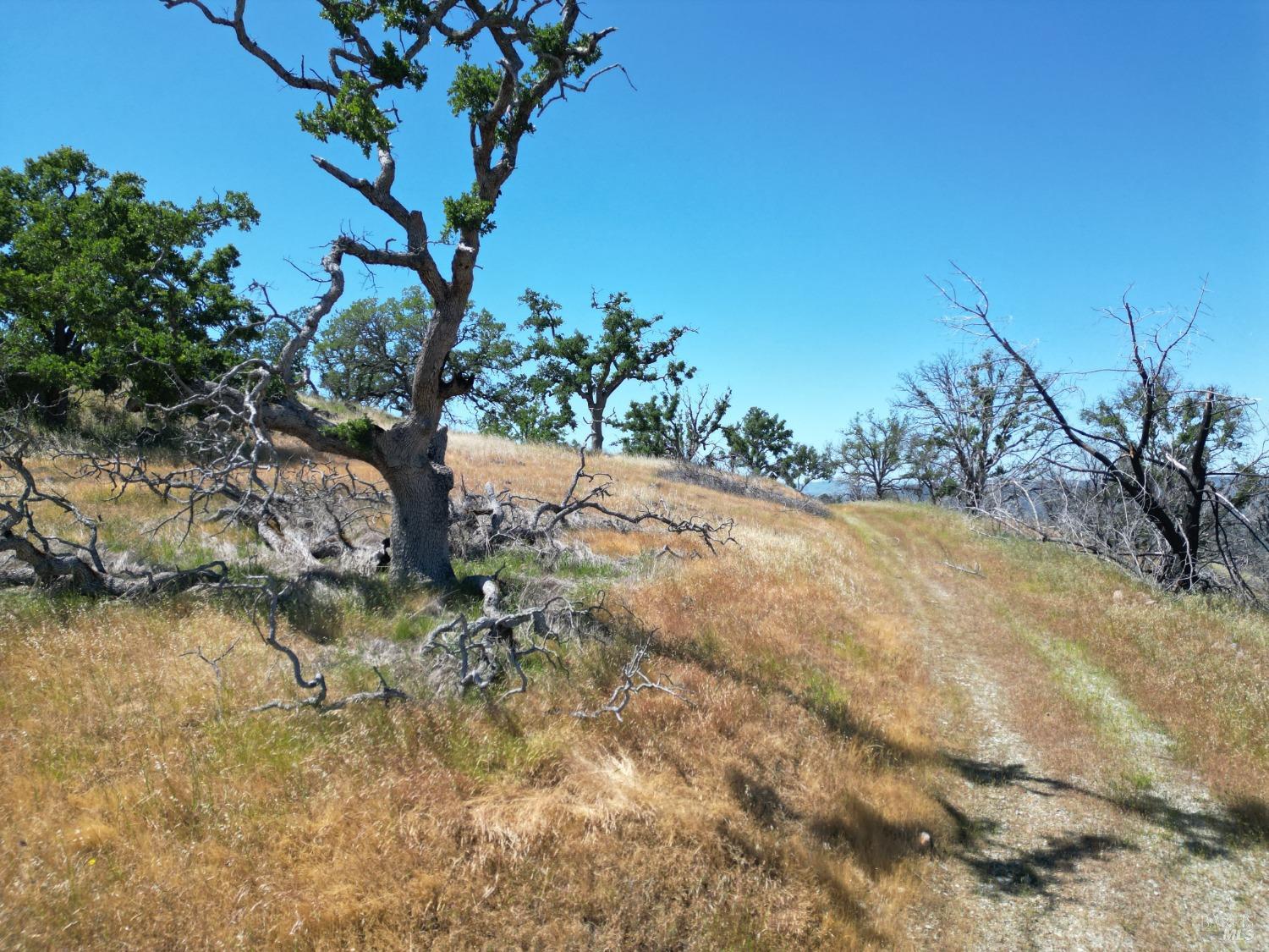 0 Pope Canyon Road Pope Valley CA 94567