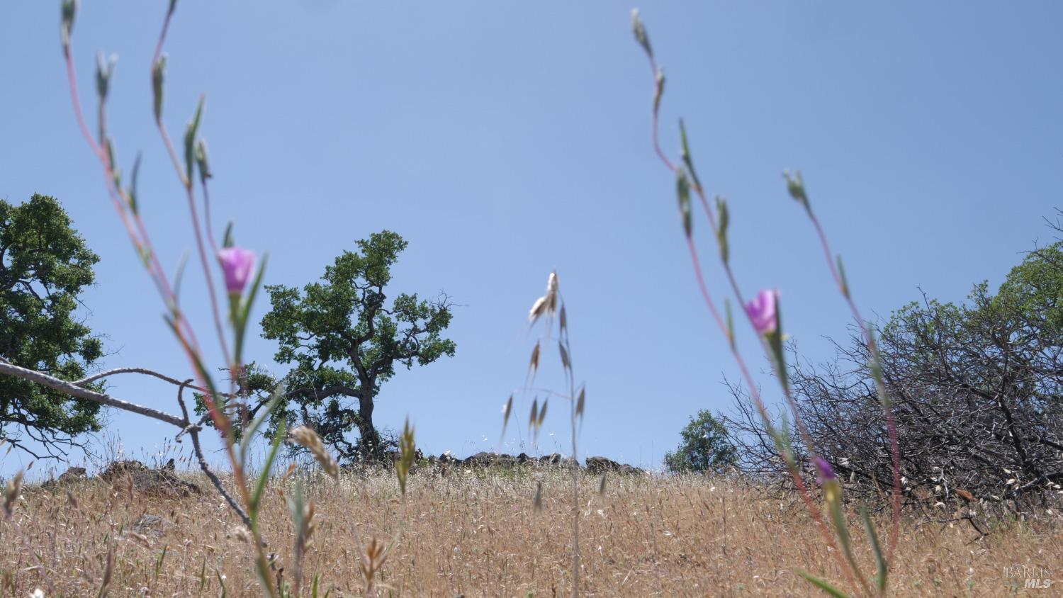 0 Pope Canyon Road Pope Valley CA 94567