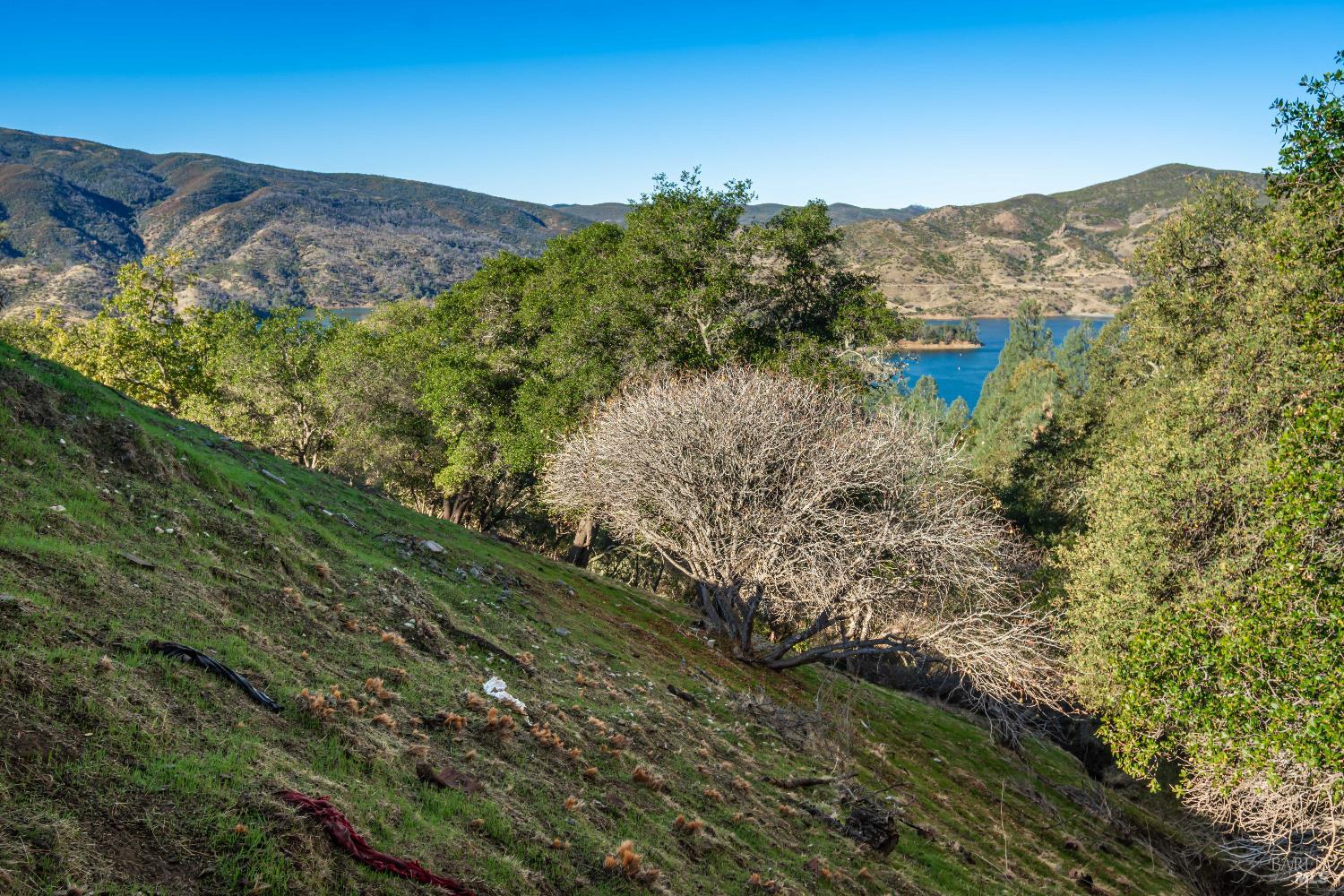 1379-1391 Steele Canyon Road Napa CA 94558