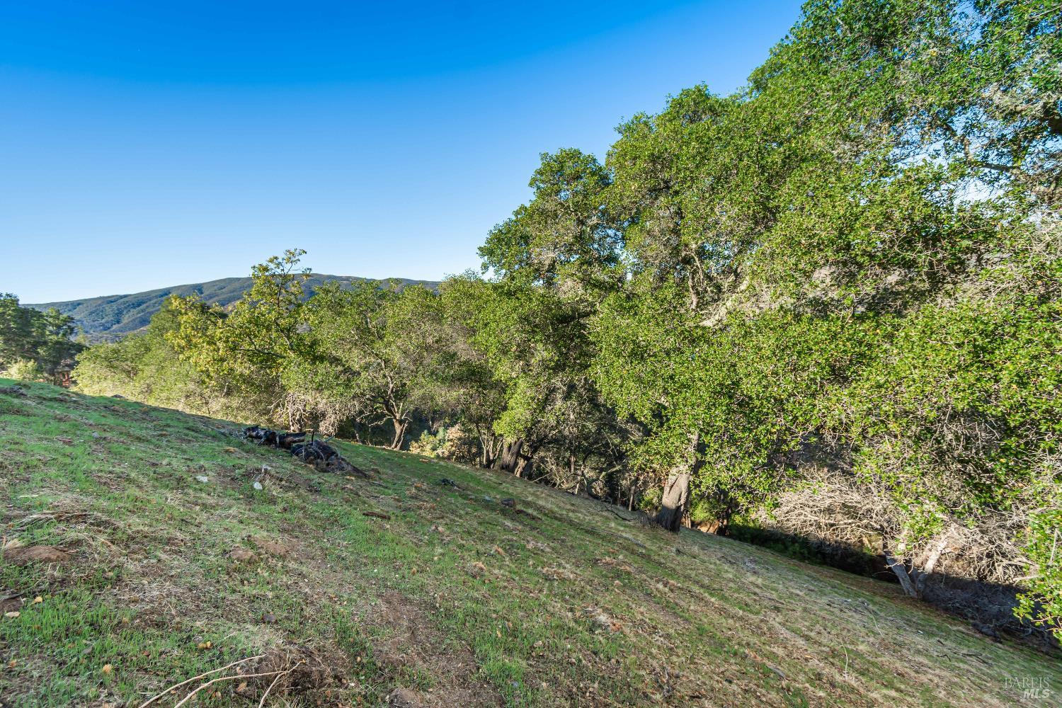 1379-1391 Steele Canyon Road Napa CA 94558