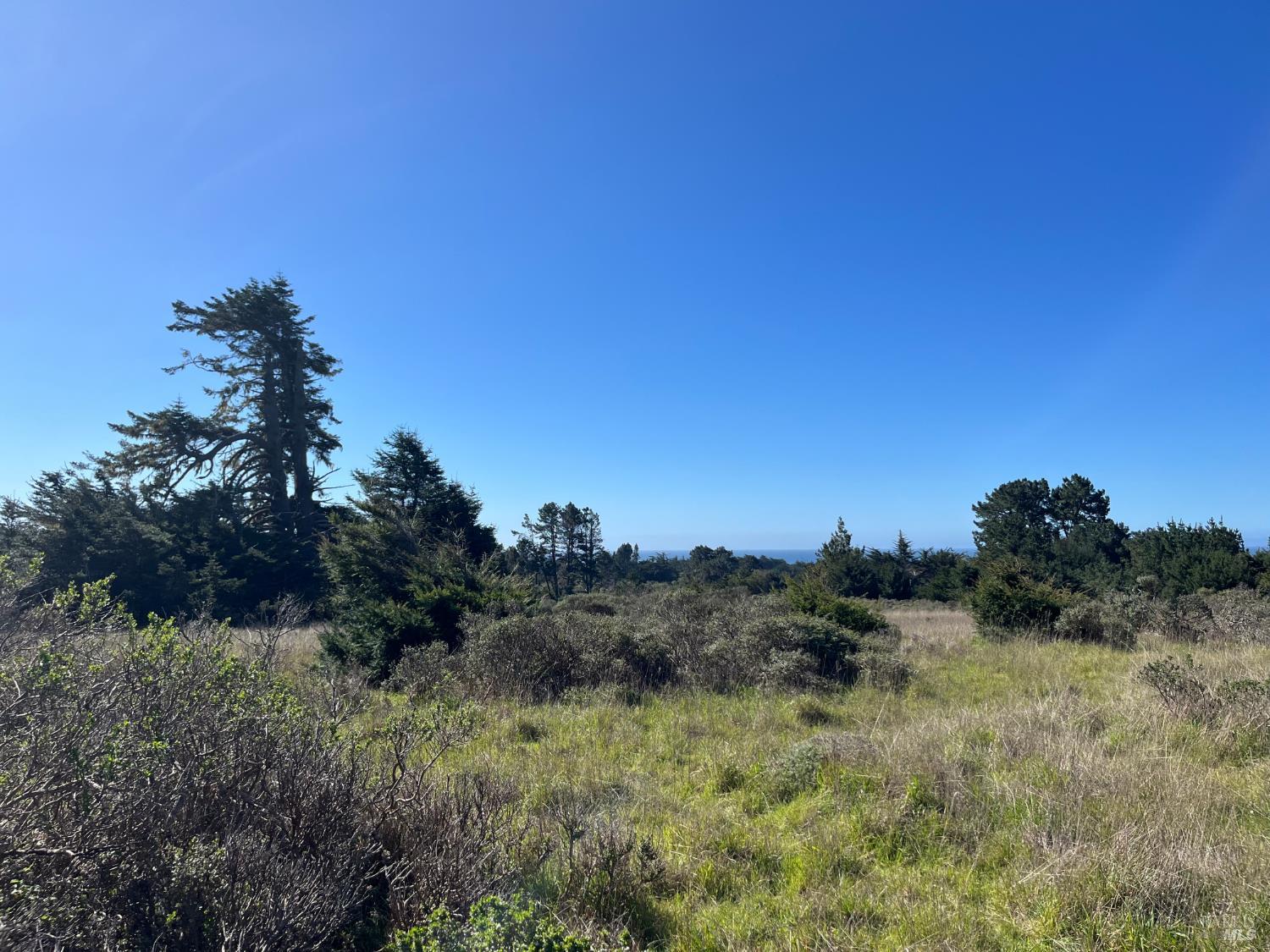 200 Haversack Road The Sea Ranch CA 95497