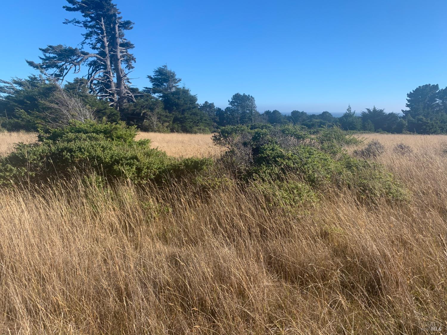 200 Haversack Road The Sea Ranch CA 95497