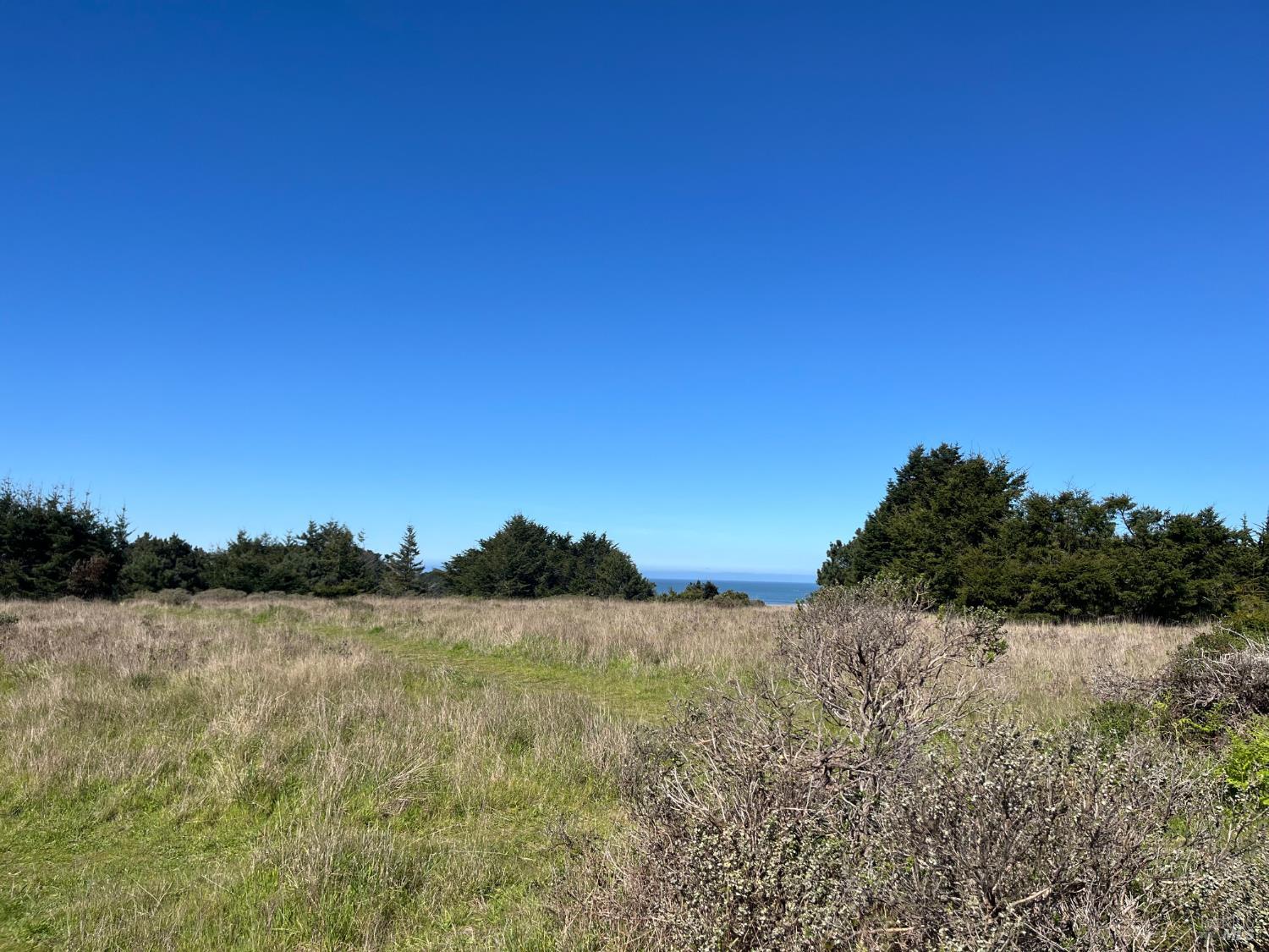 200 Haversack Road The Sea Ranch CA 95497