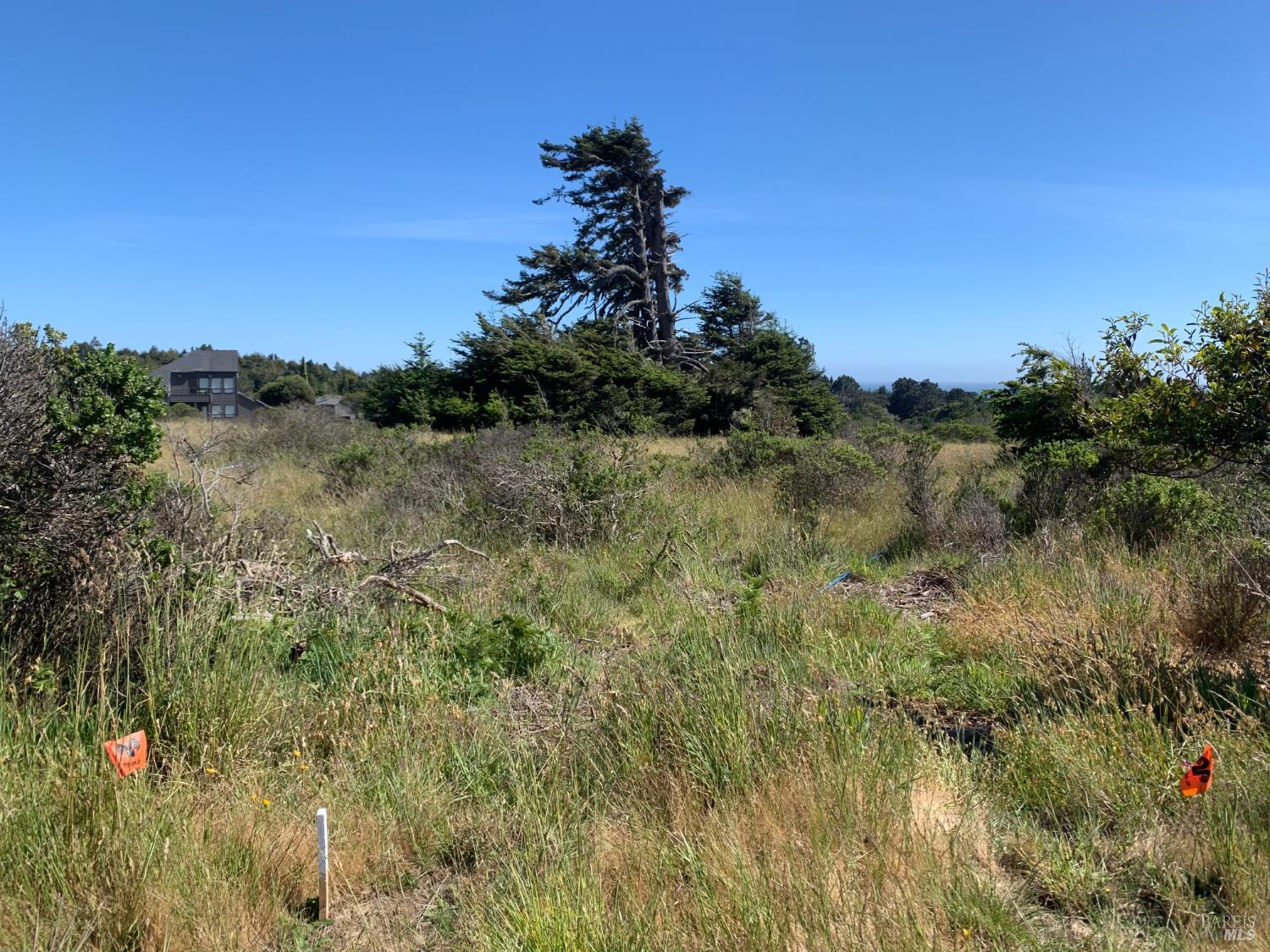 200 Haversack Road The Sea Ranch CA 95497