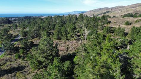 2100 Highway 1 Bodega Bay CA 94923