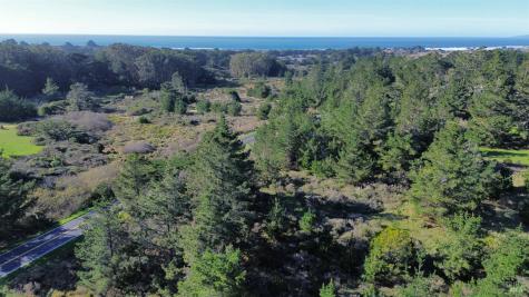 2100 Highway 1 Bodega Bay CA 94923