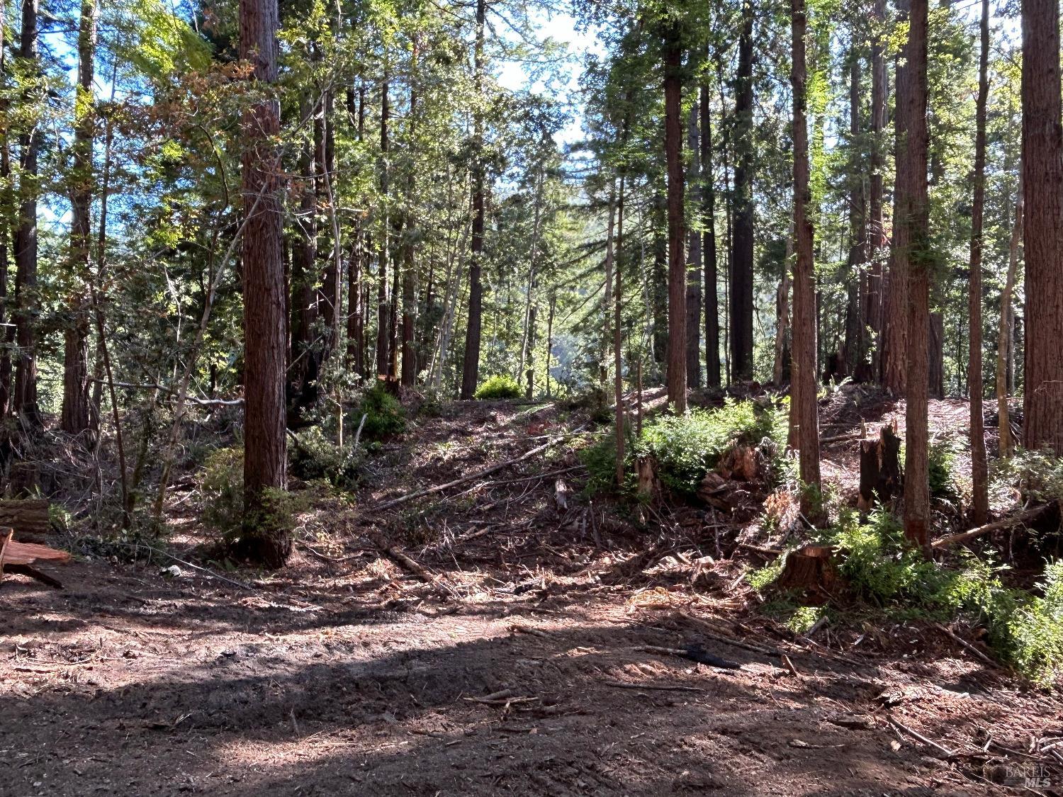 39700 Eureka Hill Road Point Arena CA 95468