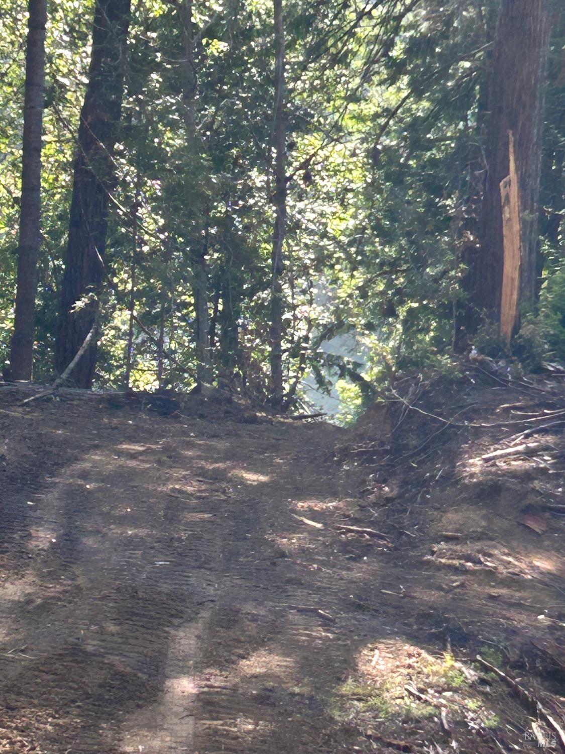 39700 Eureka Hill Road Point Arena CA 95468