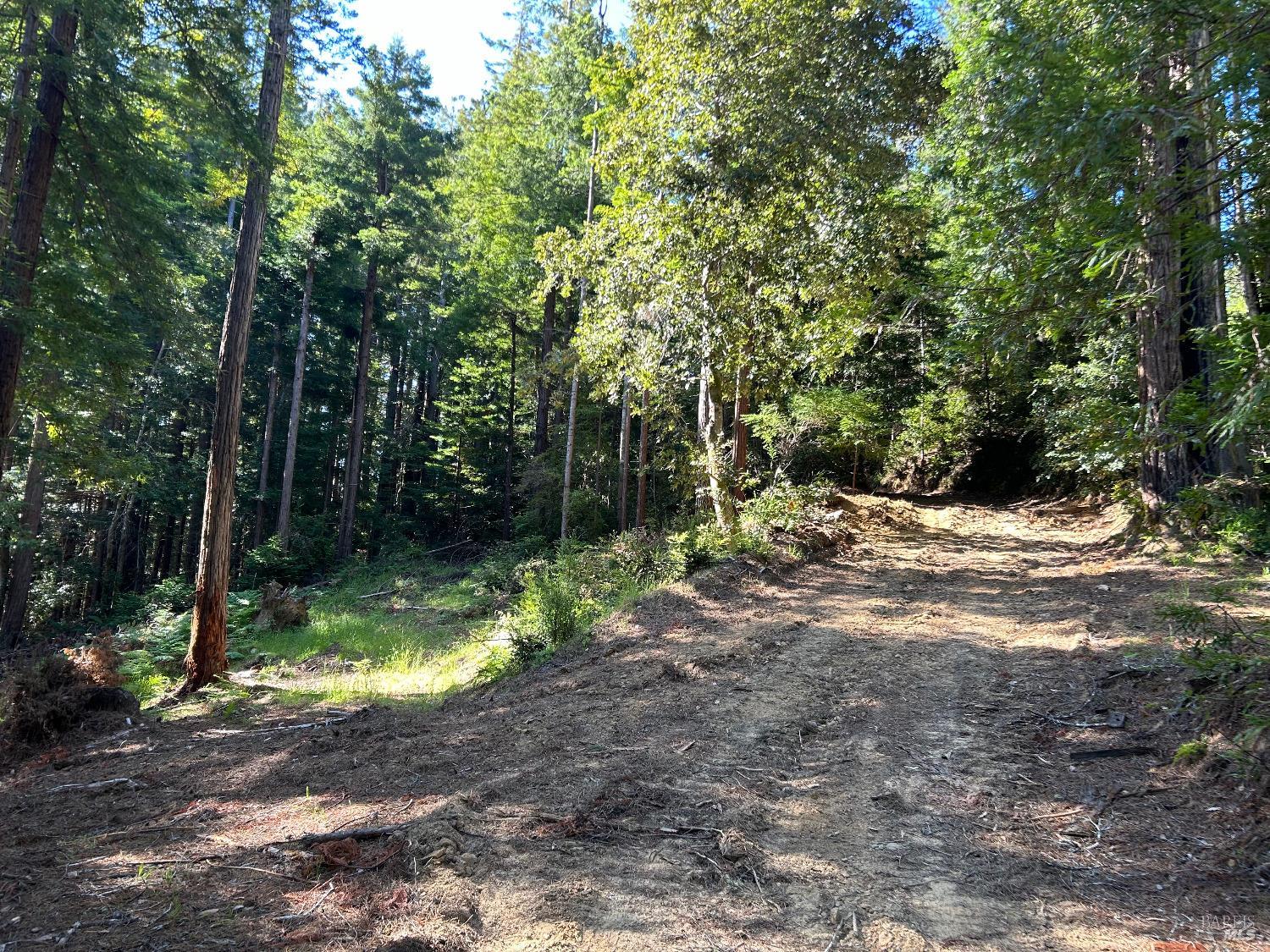 39700 Eureka Hill Road Point Arena CA 95468