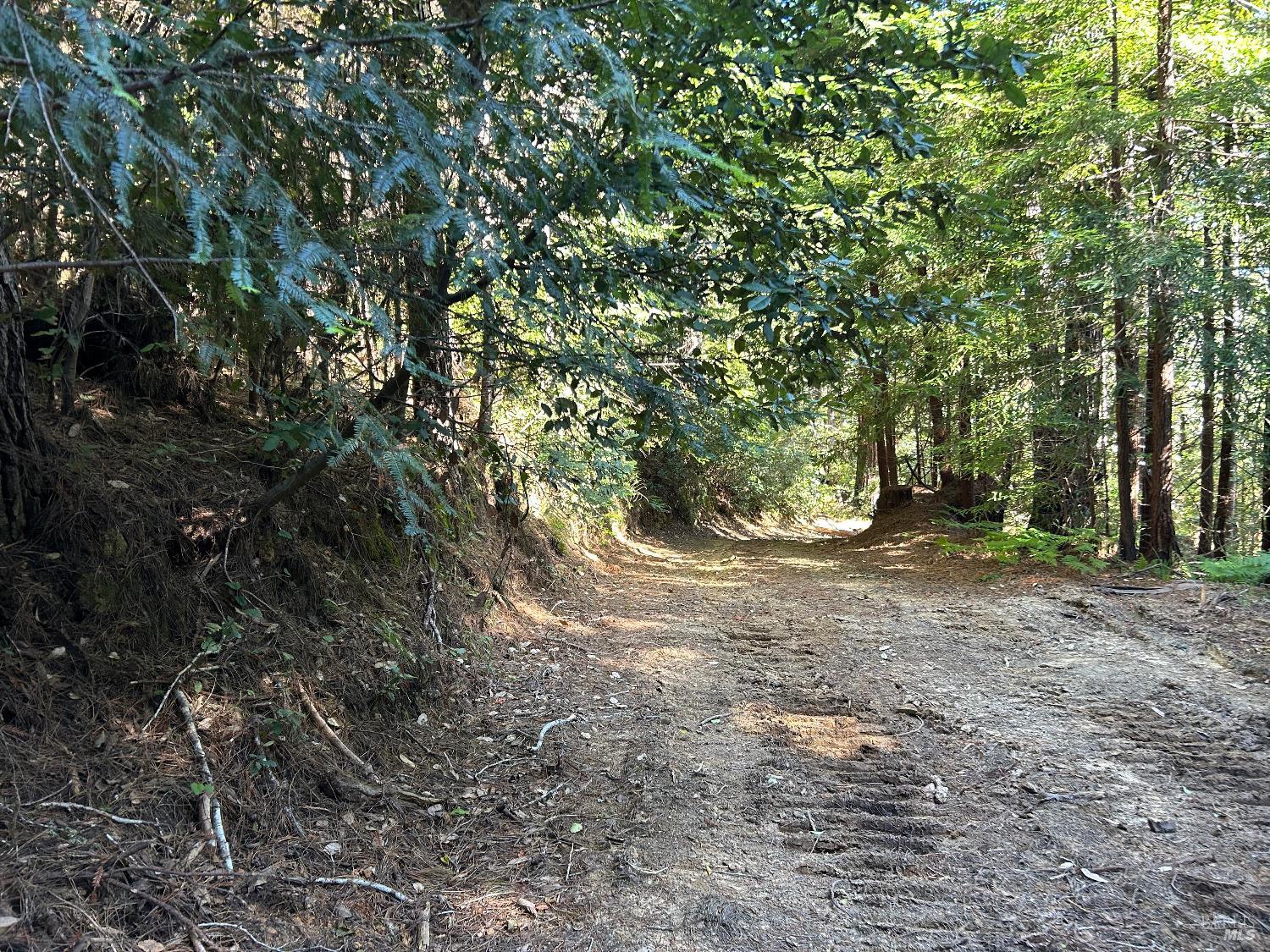 39700 Eureka Hill Road Point Arena CA 95468