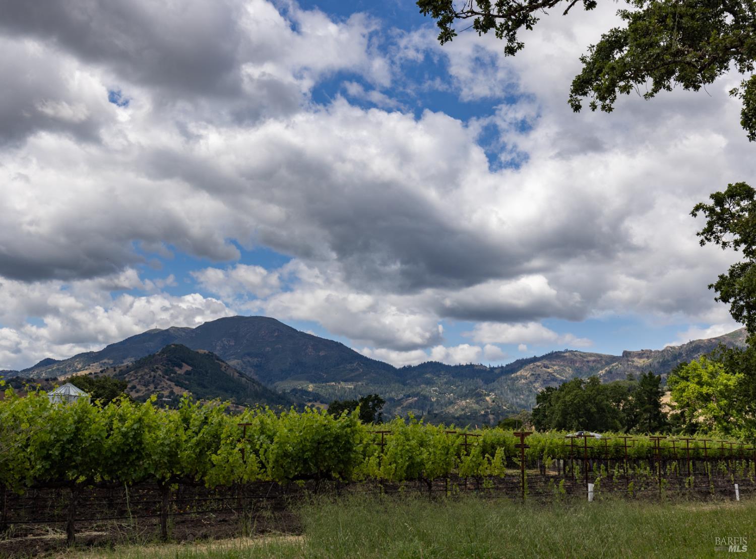 3004 W Money Lane W Calistoga CA 94515