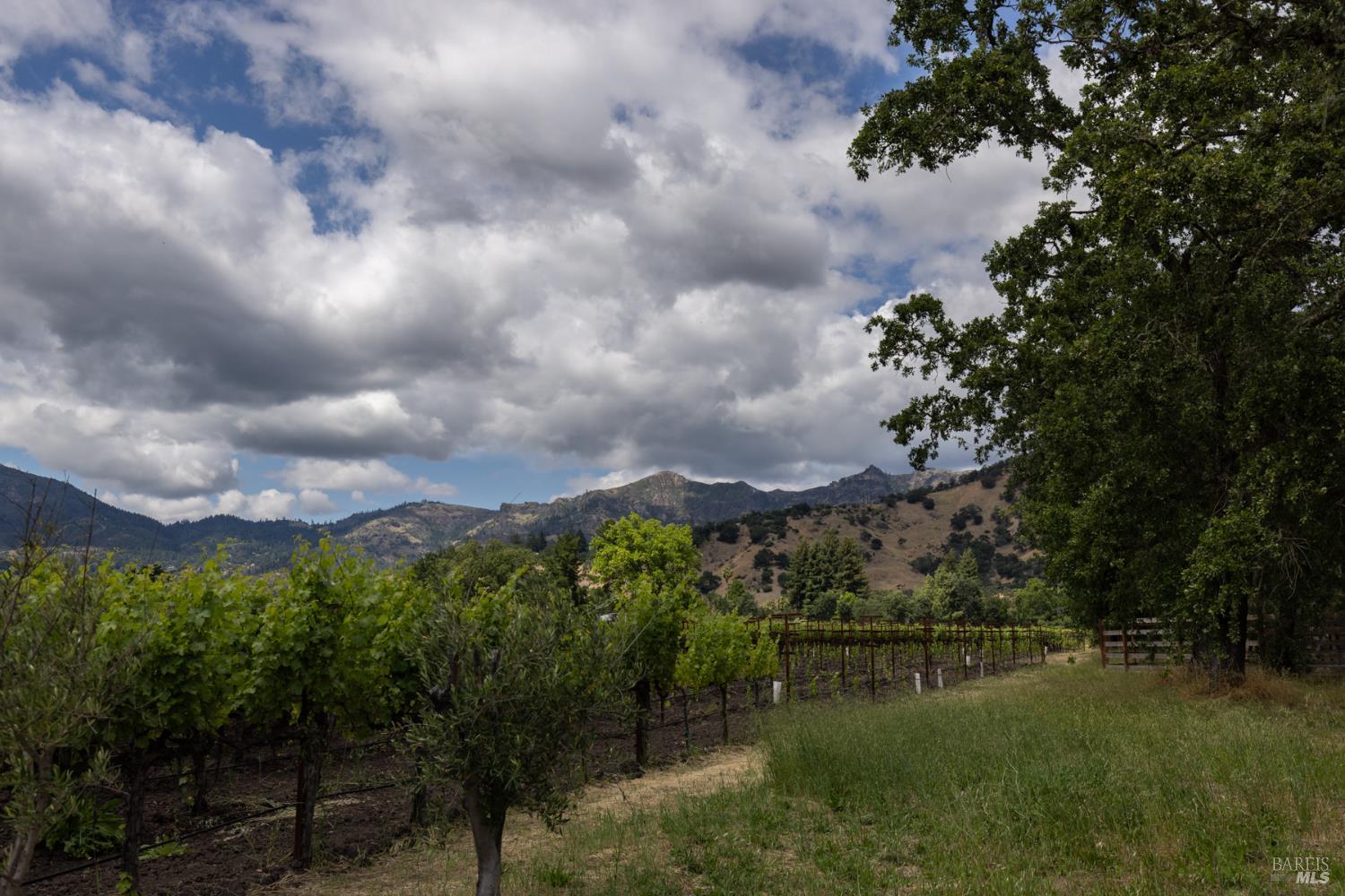 3004 W Money Lane W Calistoga CA 94515