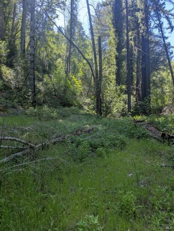 0 Skaggs Springs Road Geyserville CA 95441