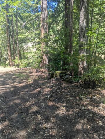 0 Skaggs Springs Road Geyserville CA 95441