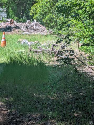 0 Skaggs Springs Road Geyserville CA 95441