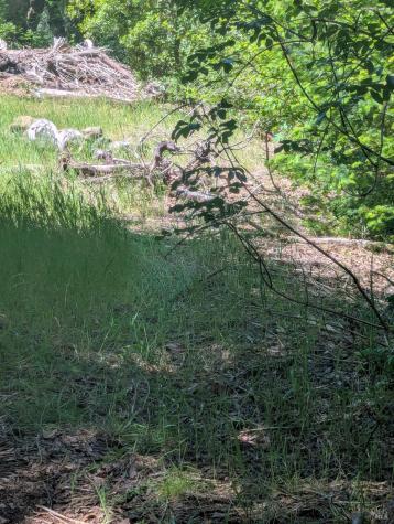 0 Skaggs Springs Road Geyserville CA 95441