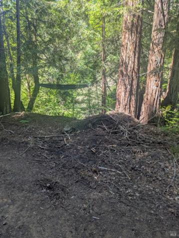 0 Skaggs Springs Road Geyserville CA 95441