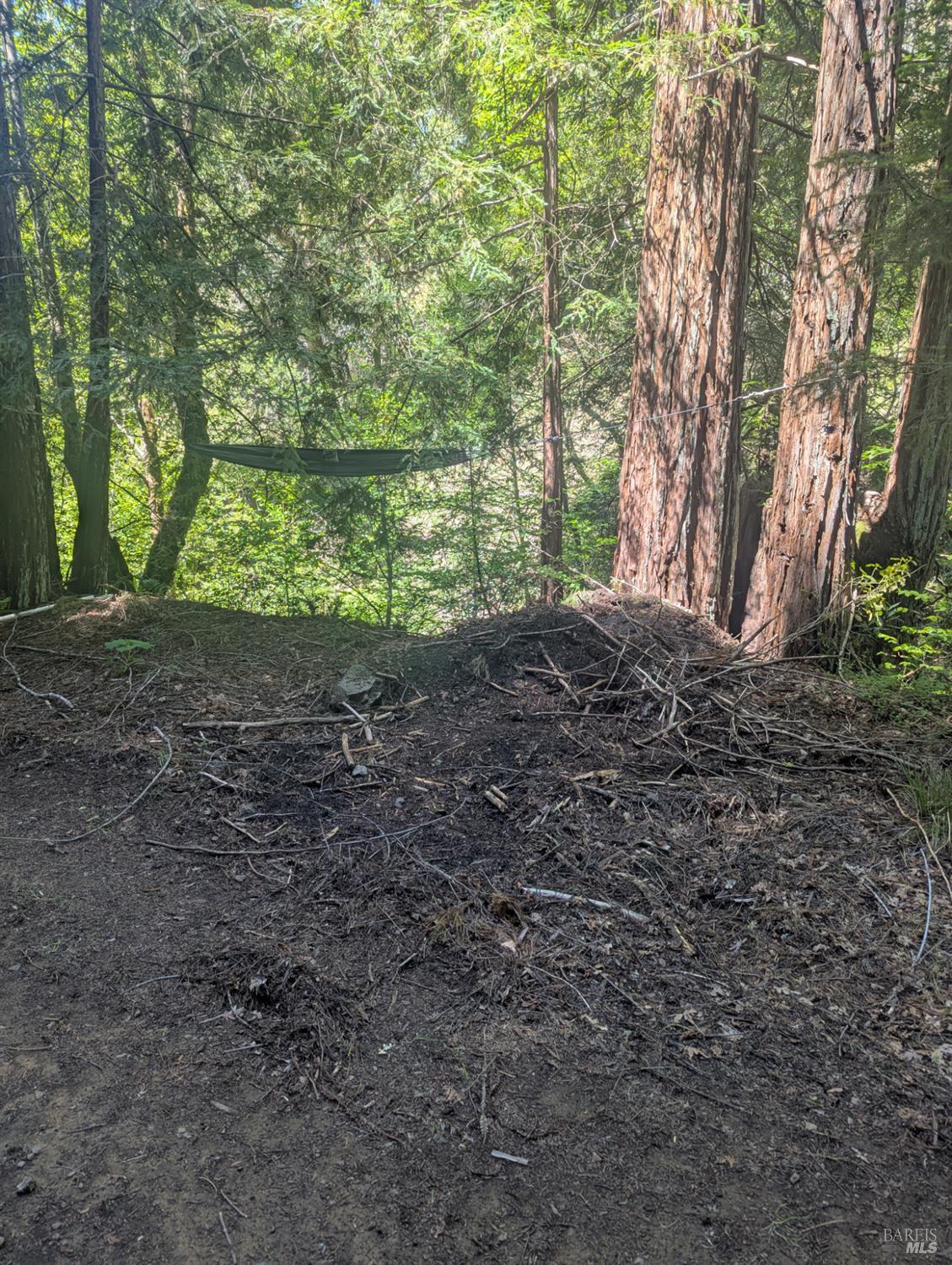 0 Skaggs Springs Road Geyserville CA 95441