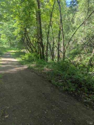 0 Skaggs Springs Road Geyserville CA 95441