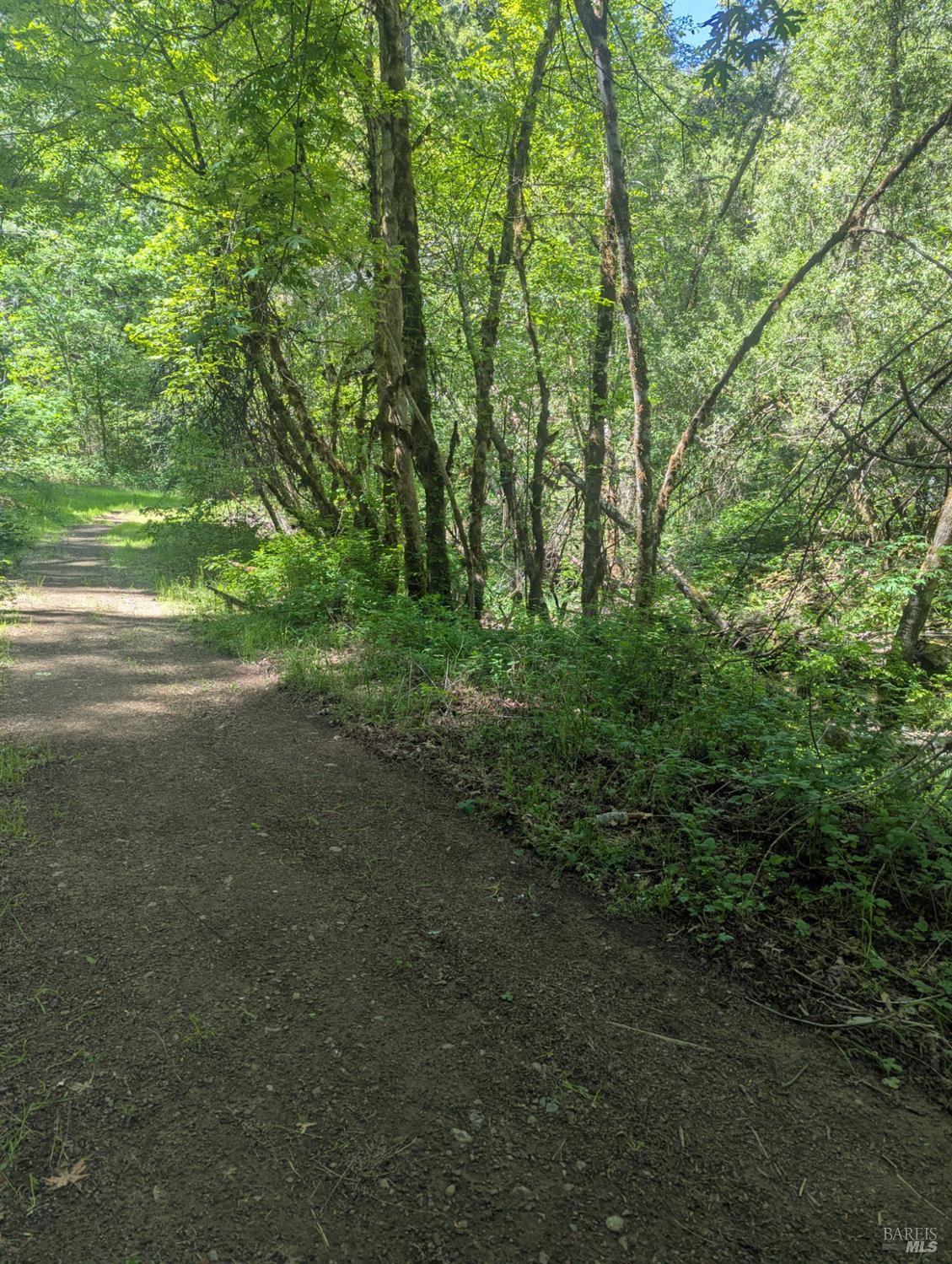 0 Skaggs Springs Road Geyserville CA 95441