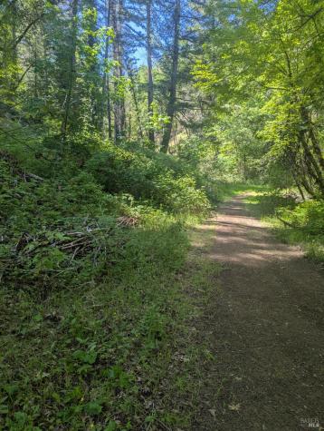0 Skaggs Springs Road Geyserville CA 95441