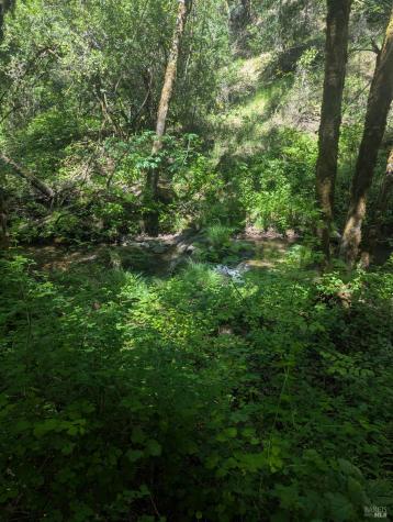 0 Skaggs Springs Road Geyserville CA 95441