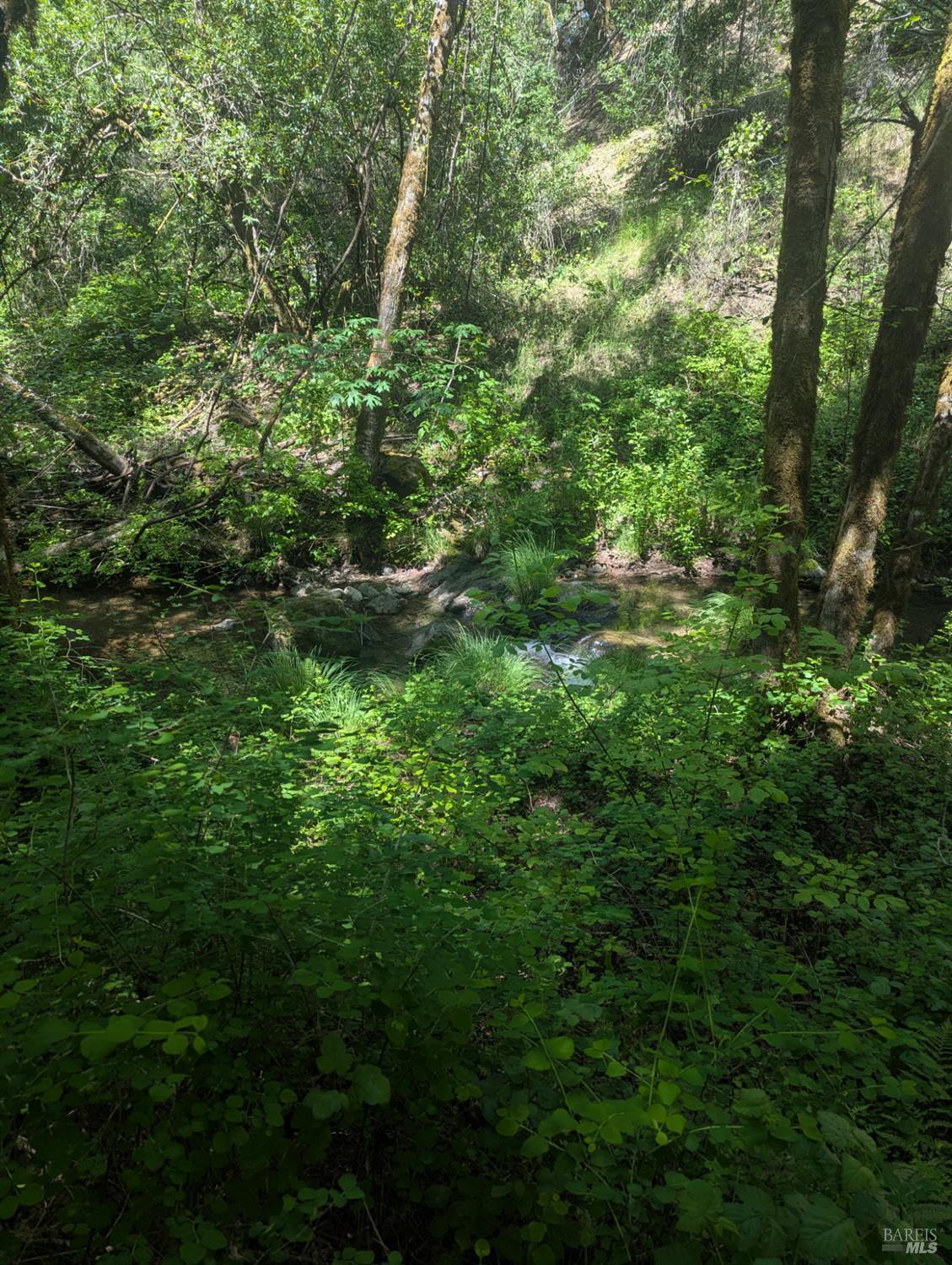 0 Skaggs Springs Road Geyserville CA 95441