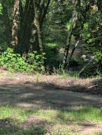 0 Skaggs Springs Road Geyserville CA 95441