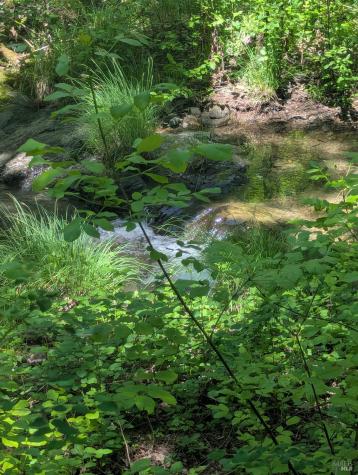 0 Skaggs Springs Road Geyserville CA 95441