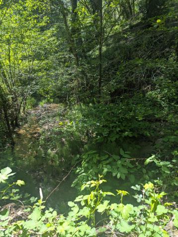 0 Skaggs Springs Road Geyserville CA 95441