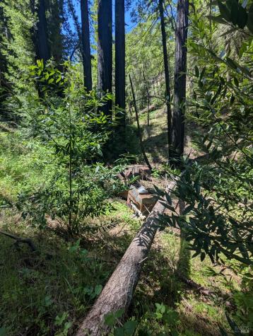 0 Skaggs Springs Road Geyserville CA 95441