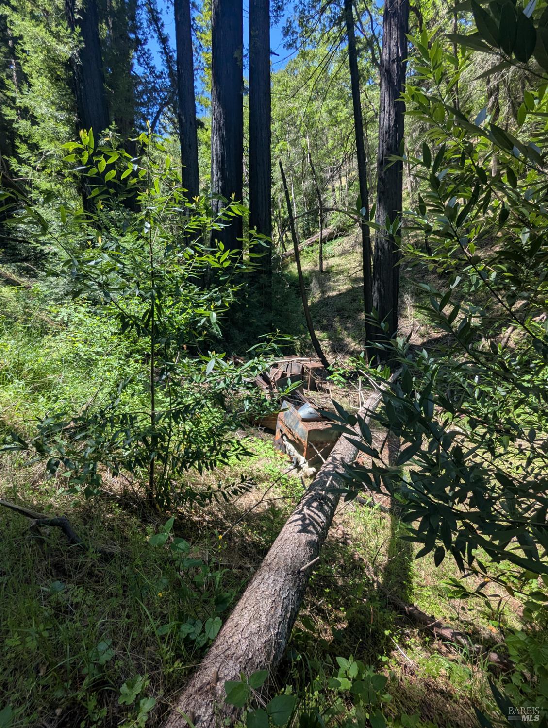 0 Skaggs Springs Road Geyserville CA 95441