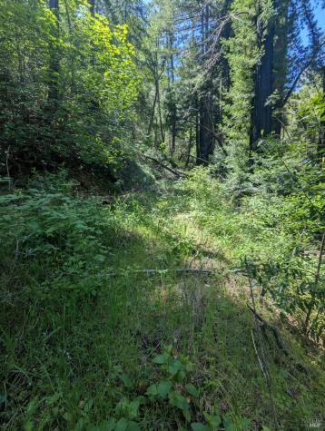 0 Skaggs Springs Road Geyserville CA 95441